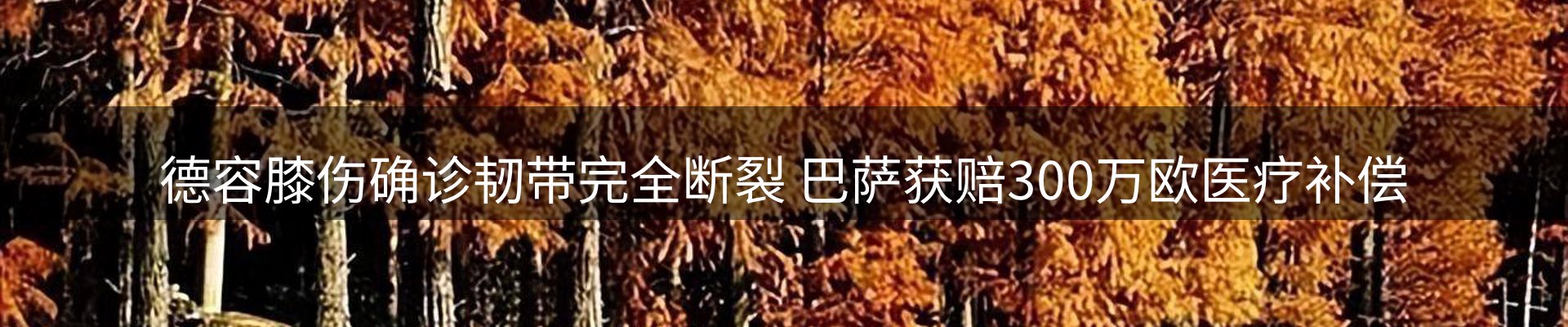 内页banner