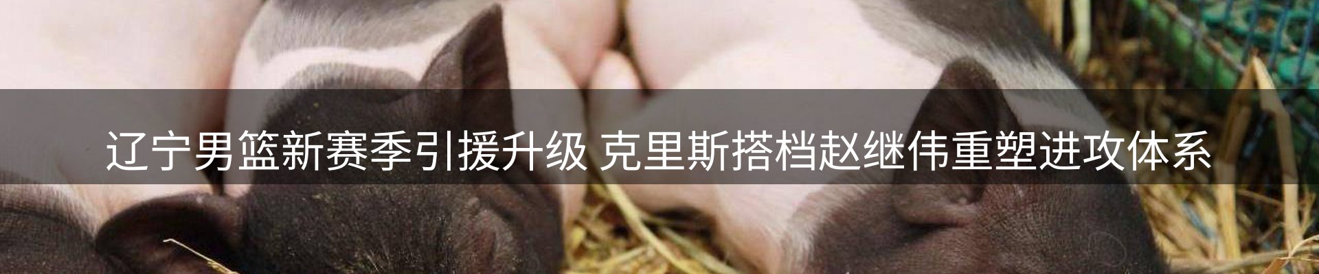 内页banner